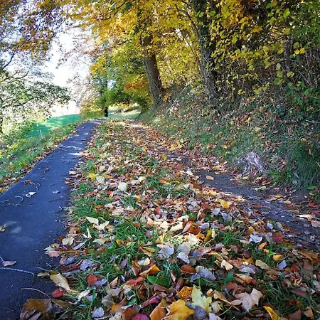 Casa vacanze Idyllic Farm Cabin With Scenic Views And Concierge By Swisshut *