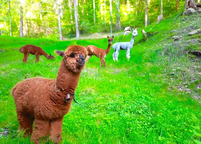 Idyllic Farm With Scenic Views And Concierge By Swisshut * Sigriswil