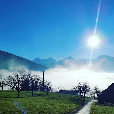 Idyllic Farm With Scenic Views And Concierge By Swisshut Sigriswil