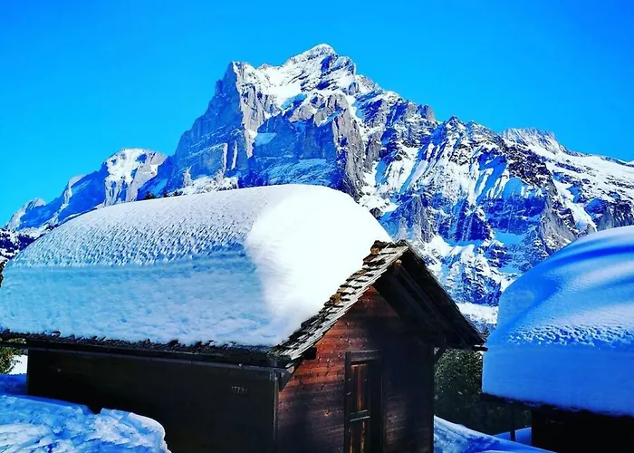 Idyllic Farm With Scenic Views And Concierge By Swisshut Dom wakacyjny Sigriswil