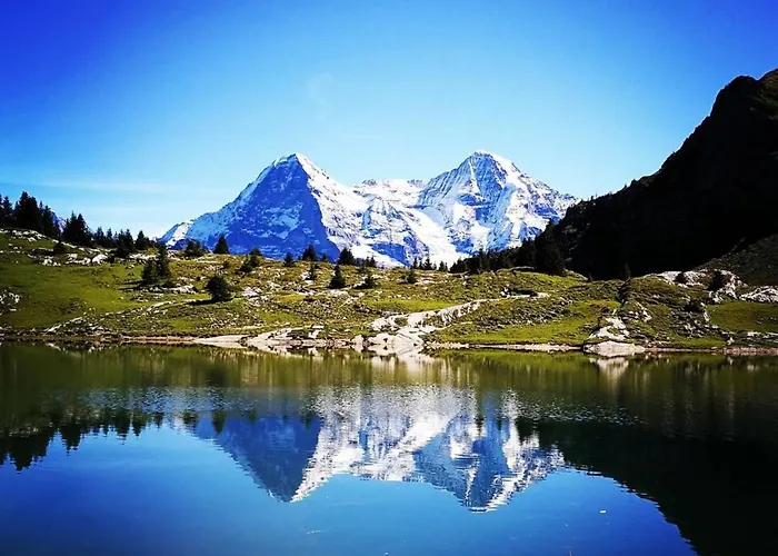 Idyllic Farm With Scenic Views And Concierge By Swisshut Dom wakacyjny *